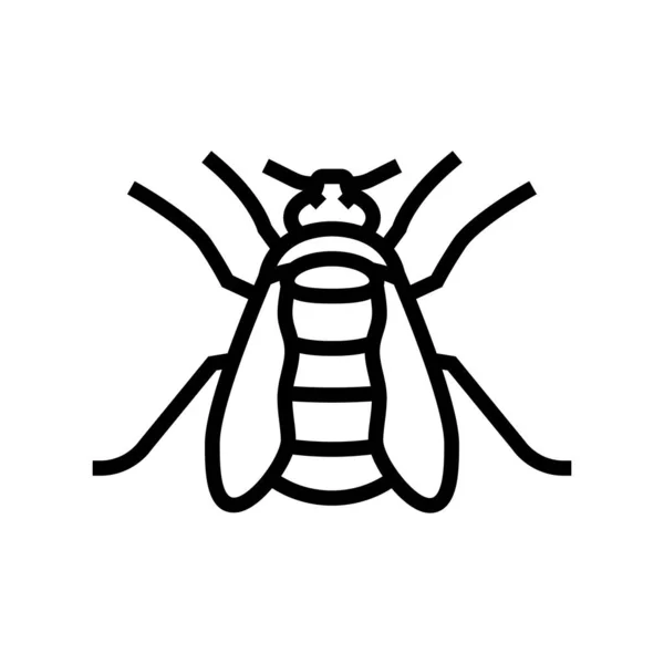 Illustration vectorielle d'icône de ligne d'insecte bourdon — Image vectorielle