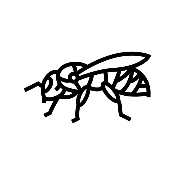 Bij insect lijn pictogram vector illustratie — Stockvector