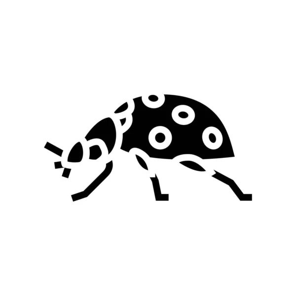 Ladybug insect glyph icon vector illustration — Stock Vector