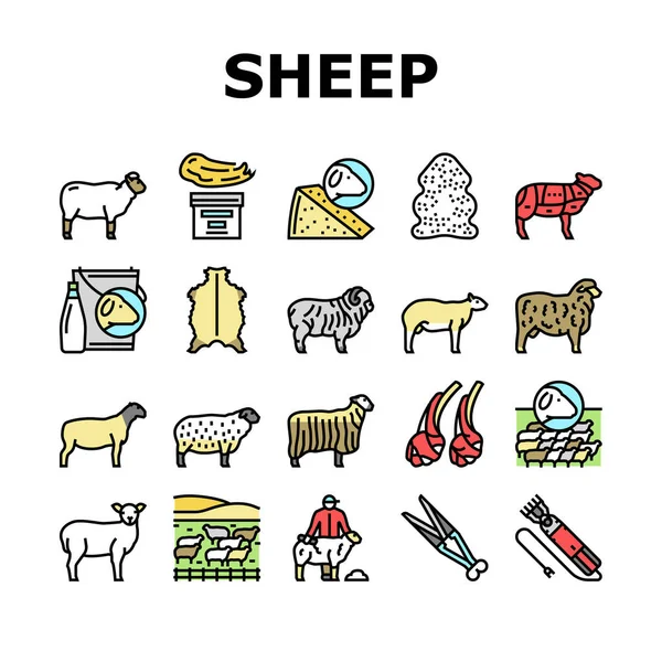 Schafzucht Farm Business Icons Set Vector — Stockvektor