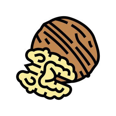 ceviz rengi ikon vektör çizimi