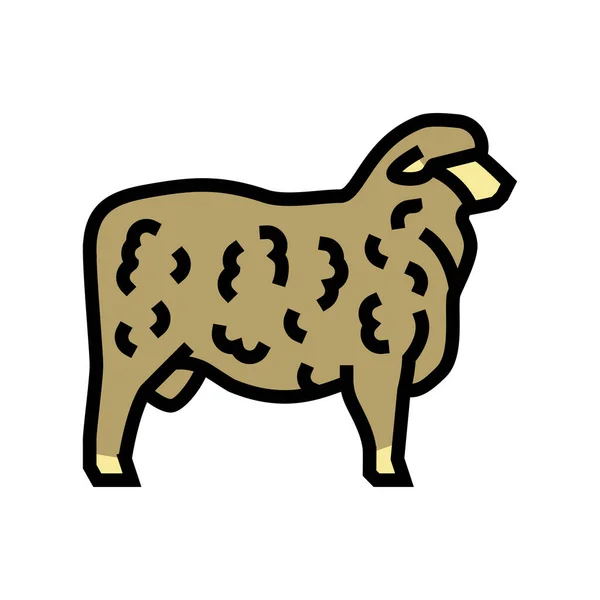 Corriedale koyun renk ikonu vektör illüstrasyonu — Stok Vektör