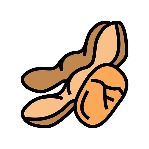 大豆坚果色图标矢量插图 — 图库矢量图片