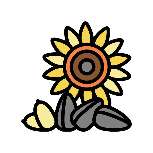 Sunflower nut color icon vector illustration — Stock Vector