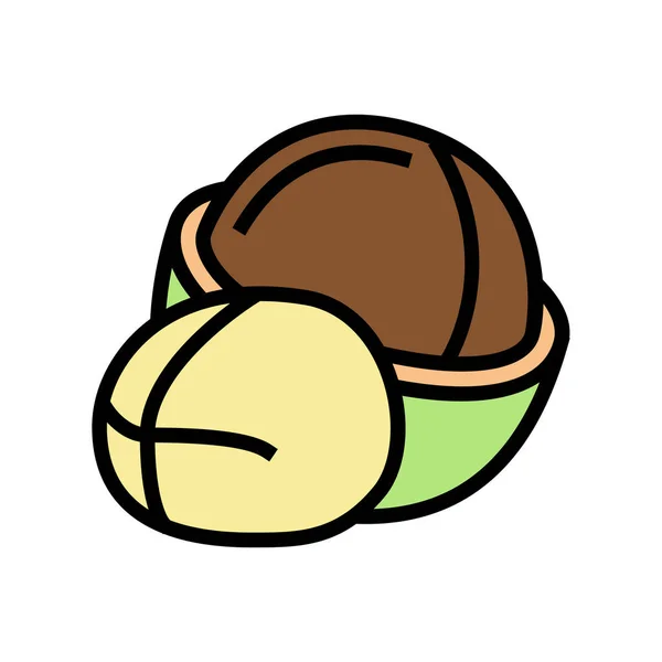 Macadamia écrou couleur icône vectoriel illustration — Image vectorielle