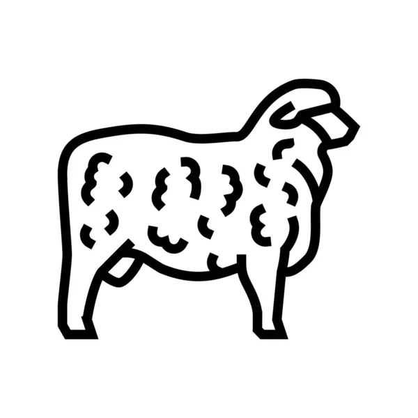 Corriedale schapen lijn pictogram vector illustratie — Stockvector