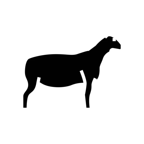 Dorper sheep glyph icon vektor illustration — Stockvektor