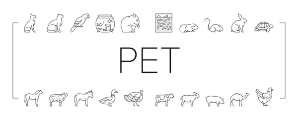 Animali domestici domestico collezione di animali icone insieme vettoriale . — Vettoriale Stock