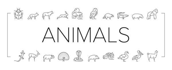 Animales salvajes, insectos y aves iconos Set Vector . — Vector de stock