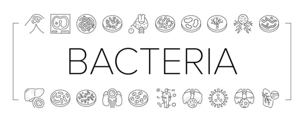Bakterie Ikony kolekcji infekcji Set Vector . — Wektor stockowy