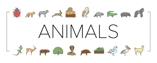 Wild Animals, Bugs And Birds Icons Set Vector . — Vetor de Stock