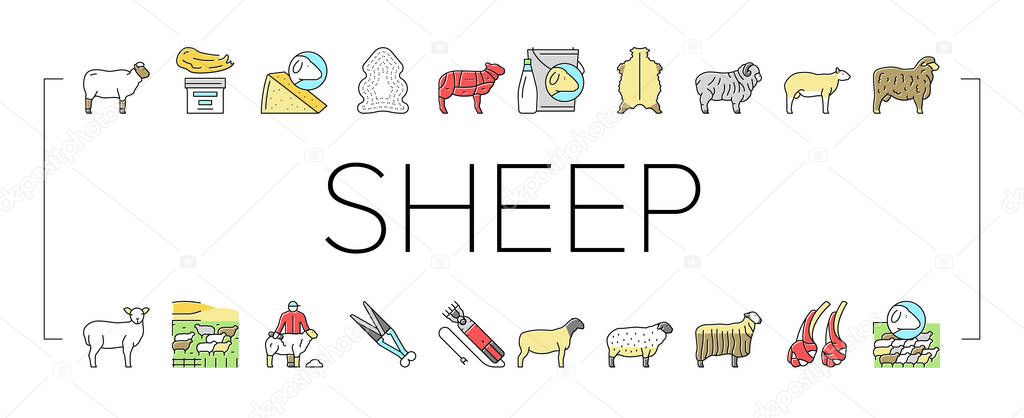 Sheep Breeding Farm Business Icons Set Vector .