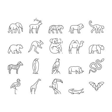 Hayvanat Bahçesi Hayvanlar, Kuşlar ve Yılan Simgeleri Vektörü Ayarladı .