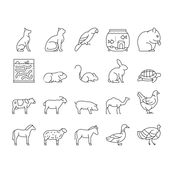 Haustiere Haustiere Sammlung Symbole Set Vektor . — Stockvektor