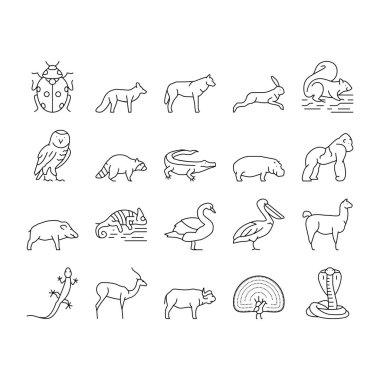 Vahşi Hayvanlar, Böcekler ve Kuşlar Simgeleri Vektörü Ayarladı .