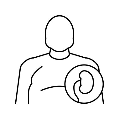 Şişman insan böbrekleri çizgisi ikon vektör çizimi