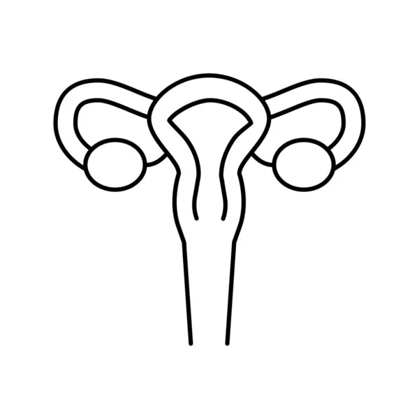 子宫妇女器官线图标矢量插图 — 图库矢量图片