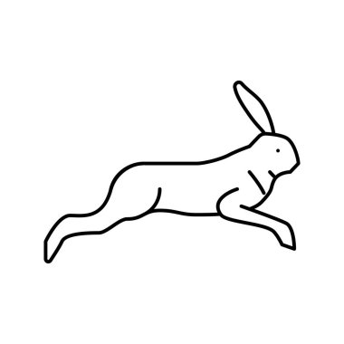 hare vahşi hayvan çizgisi ikon vektör çizimi