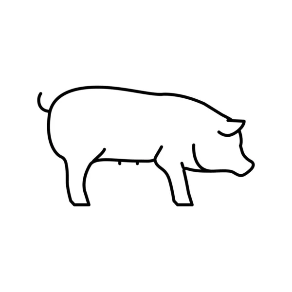 Ilustracja wektora żylnego świń domowych — Wektor stockowy