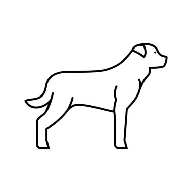 Rottweiler köpek çizgisi ikon vektör çizimi