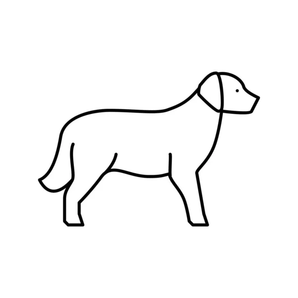 Golden Retriever Hund Linie Symbol Vektor Illustration — Stockvektor