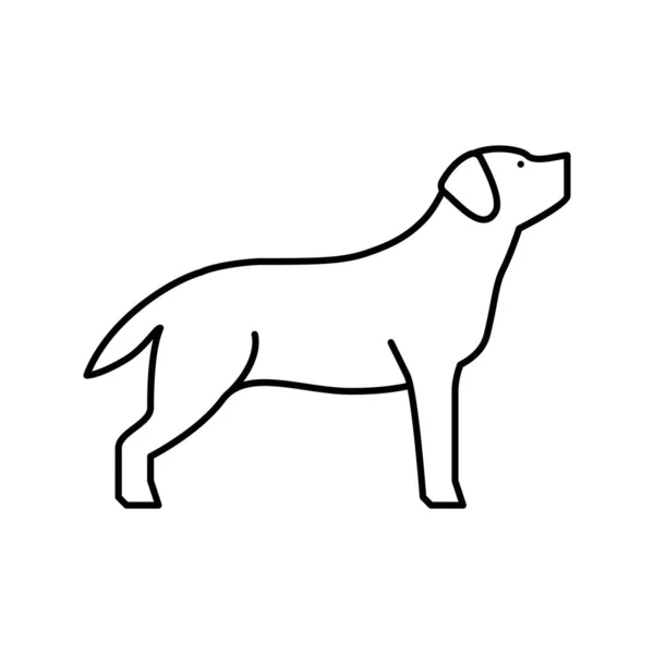 Labrador retriever cão linha ícone vetor ilustração — Vetor de Stock