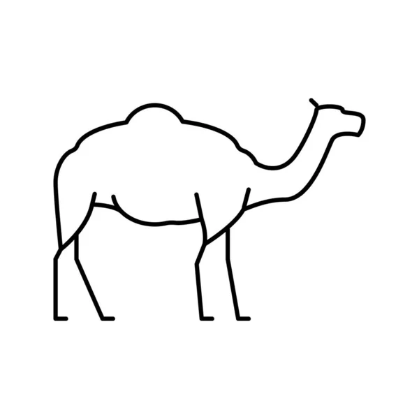 Camel animal ligne icône vectoriel illustration — Image vectorielle