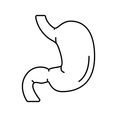 Mide insan organı çizgisi ikon vektör çizimi