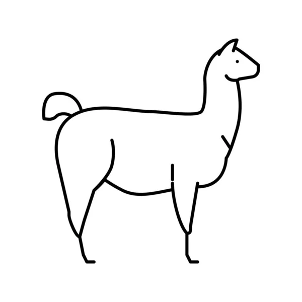 Lama wild animal line icon vector illustration — 스톡 벡터