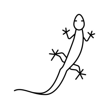 Kertenkele vahşi hayvan çizgisi ikon vektör çizimi