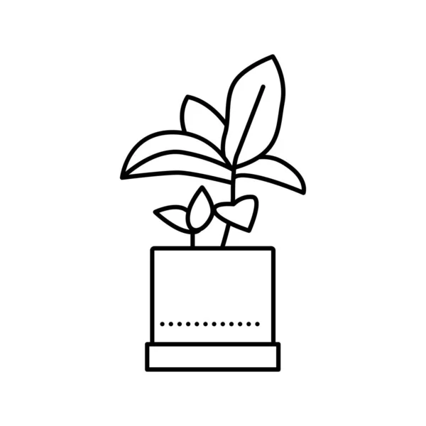 Grüne Blätter Zimmerpflanze in Topflinie Symbol Vektor Illustration — Stockvektor