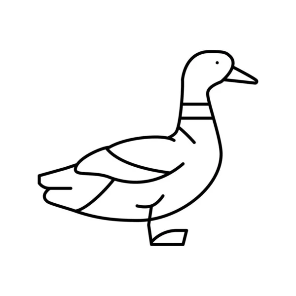 Canard oiseau ligne icône vectoriel illustration — Image vectorielle