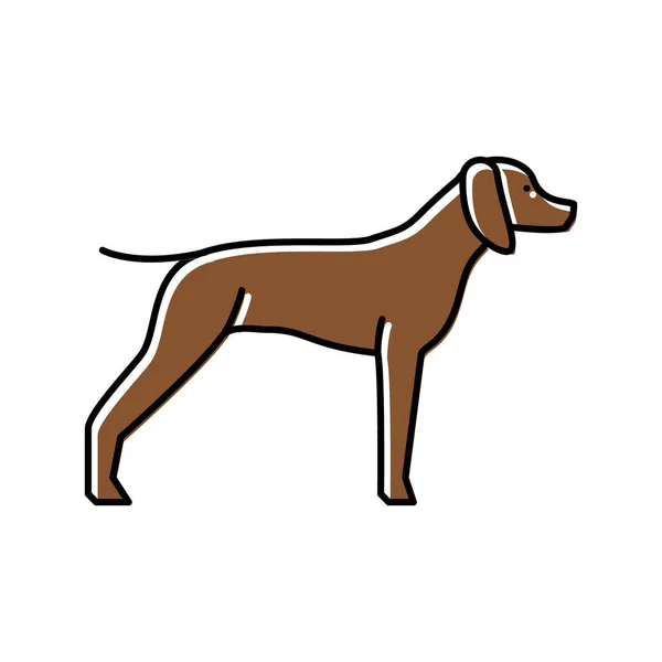 Alemán shrothaired puntero perro icono de color vector ilustración — Vector de stock