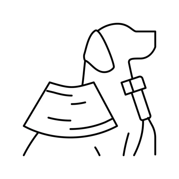 Ultrasonido examen doméstico mascota línea icono vector ilustración — Vector de stock