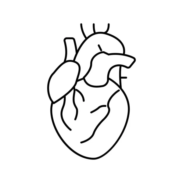 Corazón humano órgano línea icono vector ilustración — Vector de stock