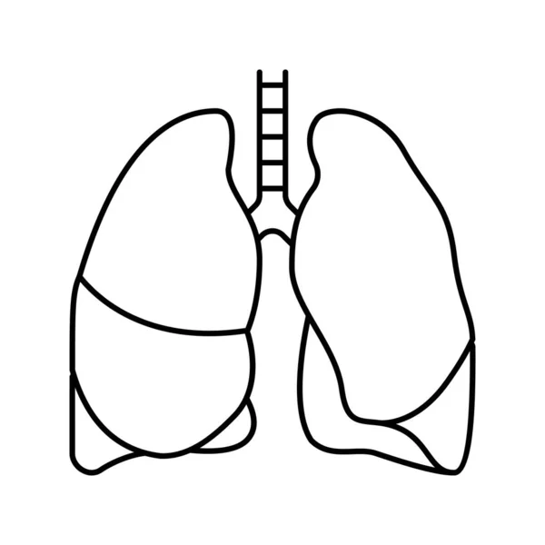 Pulmón humano órgano línea icono vector ilustración — Vector de stock