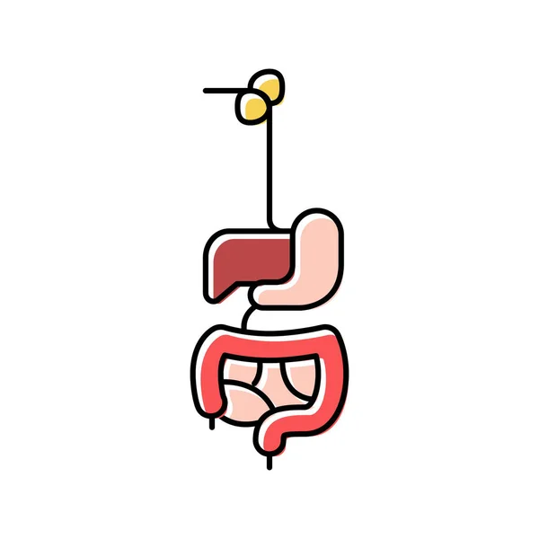 Sistema digestivo color icono vector ilustración — Vector de stock