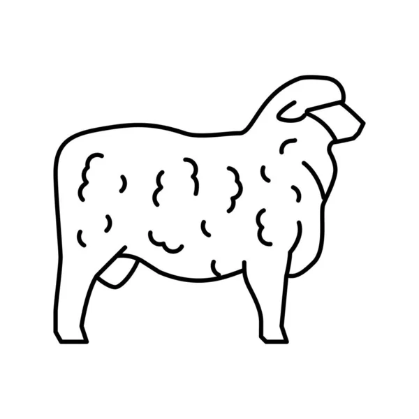 Corriedale sheep line icon vector illustration — Stock Vector