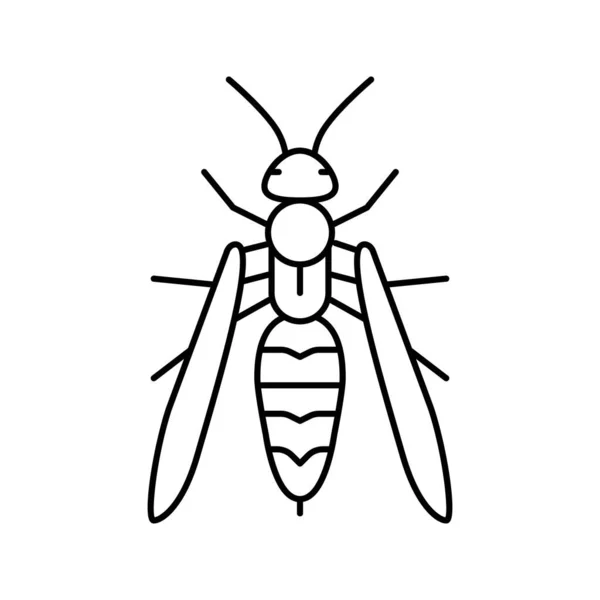 Wasp insect line icon vector illustration — Stock Vector