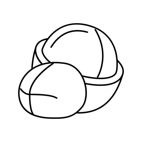 Macadamia nut line icon vector illustration — 스톡 벡터