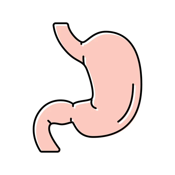 Stomaco umano organo colore icona vettoriale illustrazione — Vettoriale Stock