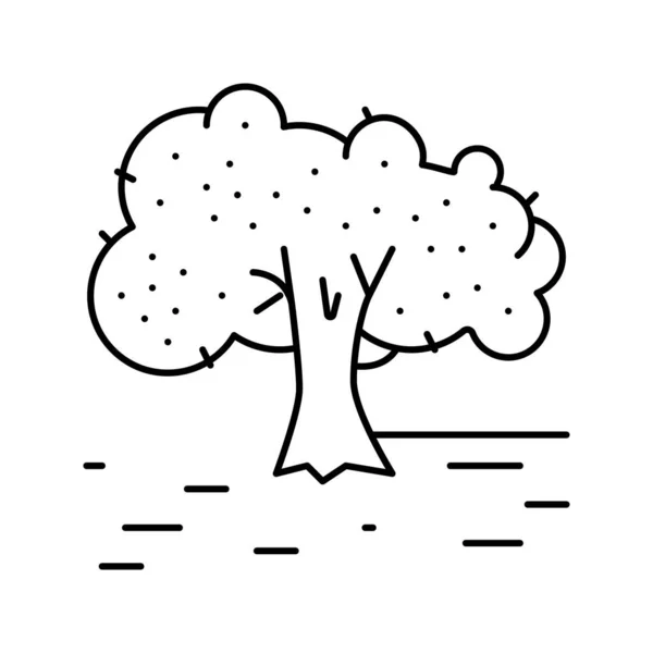 Cultivation olive tree line icon vector illustration — Stock vektor