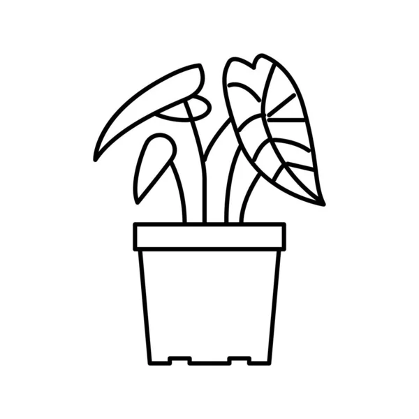 Línea de planta tropical icono vector ilustración — Vector de stock