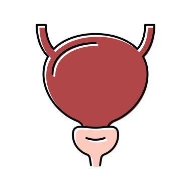 Mesane insan organı renk ikonu vektör çizimi