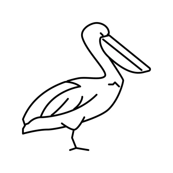 Pelican wild bird linea icona vettoriale illustrazione — Vettoriale Stock