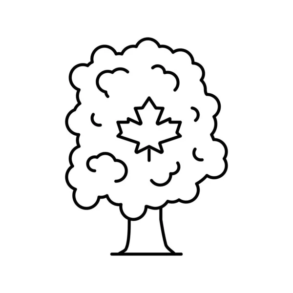 Maple tree line icon vector illustration — Stock vektor