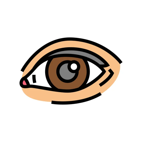 Eye face color icon vector illustration — Stock Vector