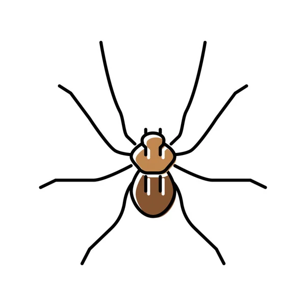 Spindel insekt färg ikon vektor illustration — Stock vektor