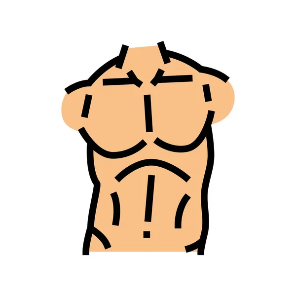 Bröstkorg kropp färg ikon vektor illustration — Stock vektor