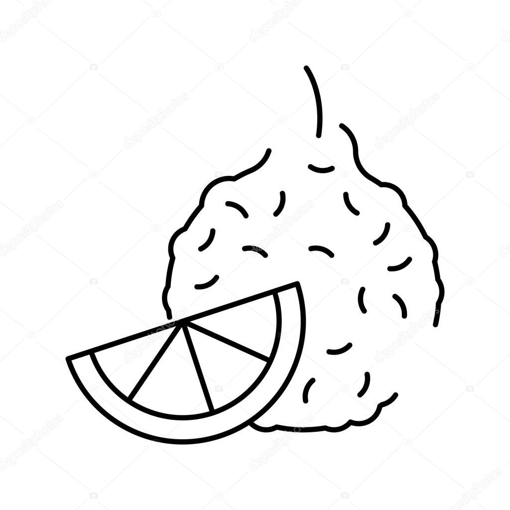 bergamot aromatherapy line icon vector isolated illustration